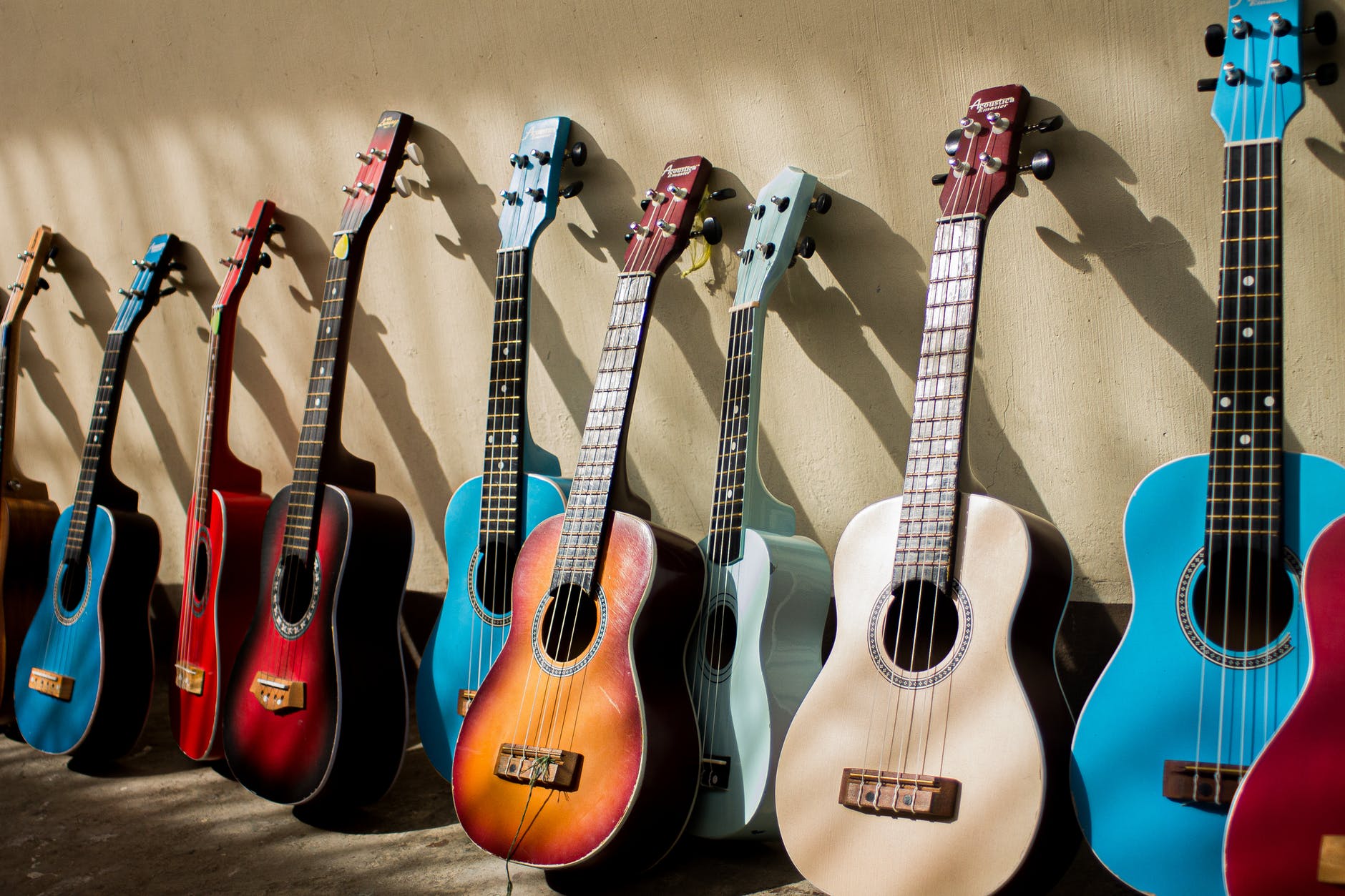 photo of assorted acoustic guitars